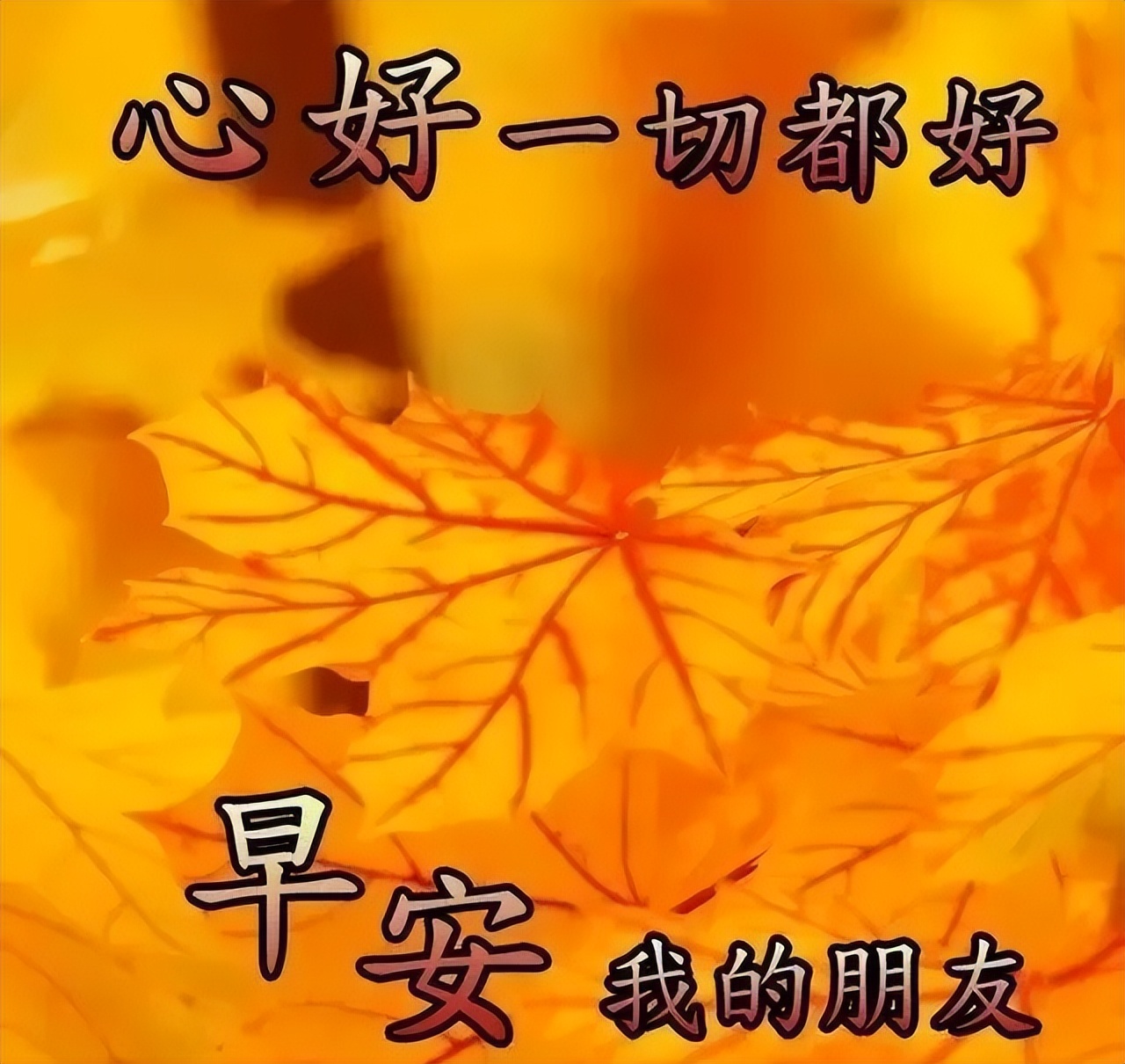 周六漂亮的鲜花动图早上好问候图片 愿你所想的都能如愿图片