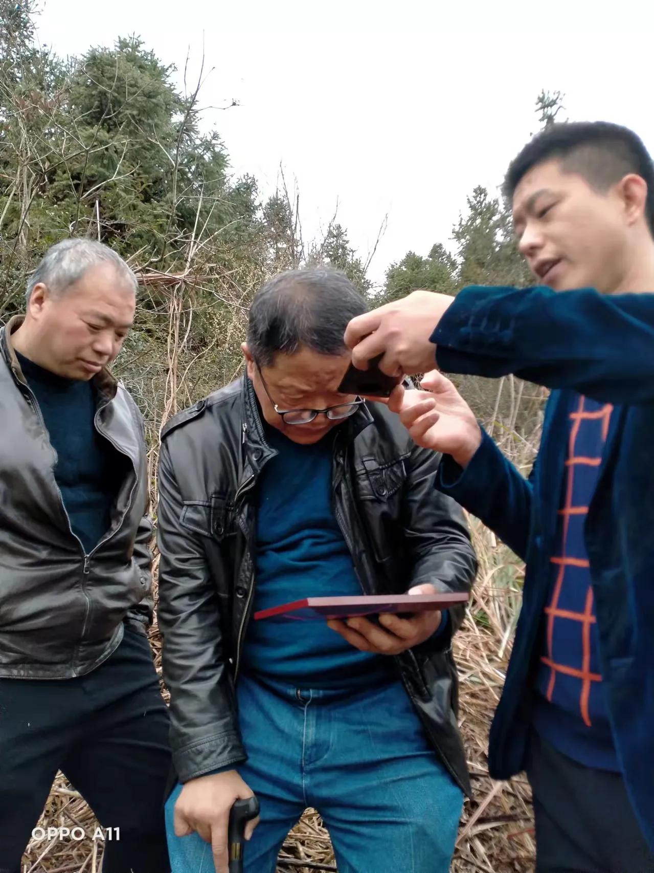冬游宁都东韶 仰望凌云山 层层迷雾包裹着久远的历史传说