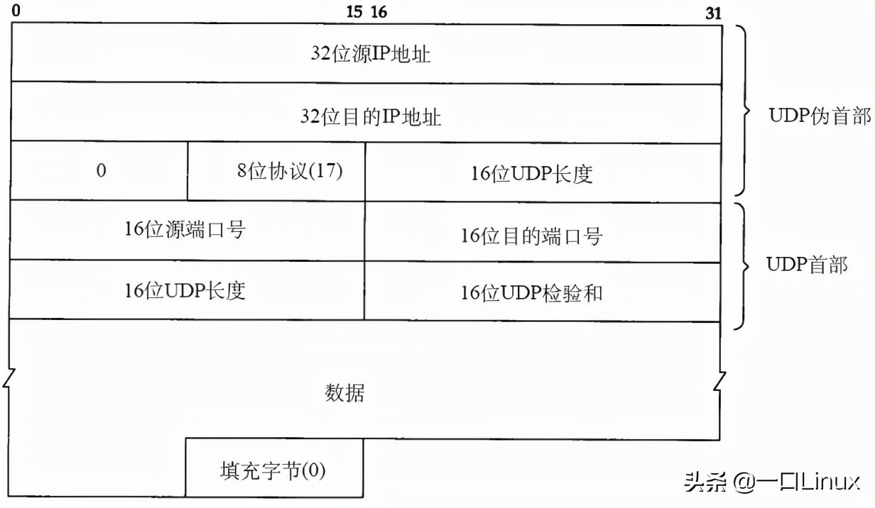 計算機網絡知識點全面總結（這也太全了吧！）