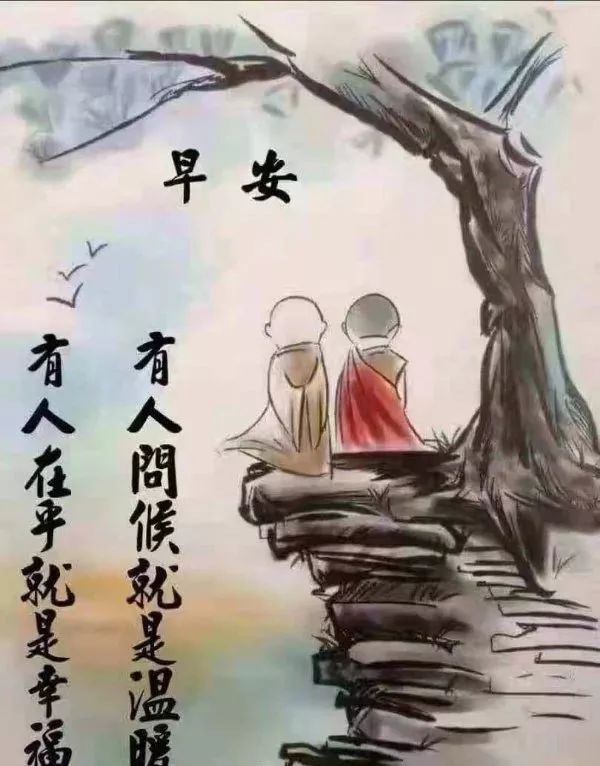 2022朋友圈温馨早上好问候暖心语录 最新版漂亮鲜花早上好动态美图图片