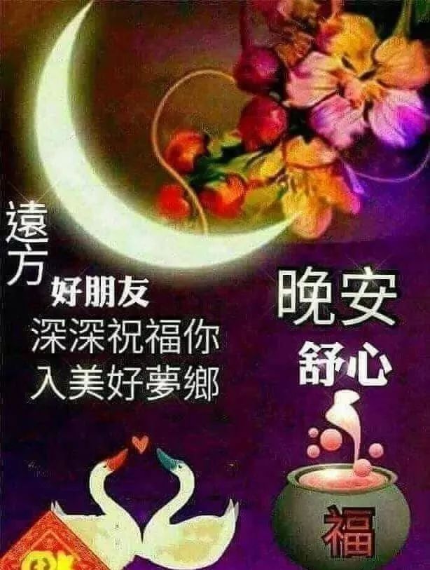 早上好微信问候语表情包图片 千好万好 平安健康最好图片