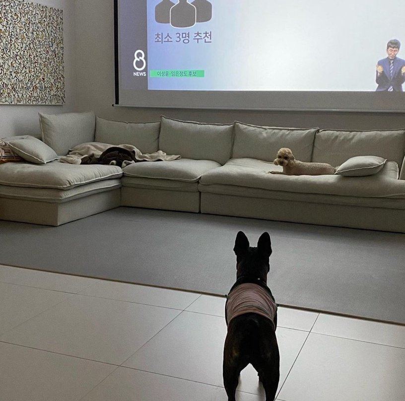 韩星超狂豪宅！《禹英禑》姜其永家堪比《秘密花园》玄彬家