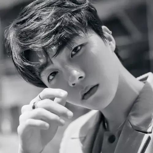 曾经被黑的很惨的明星，你最心疼哪个？