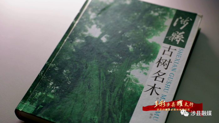 邯鄲涉縣榮獲“河北省森林城市”稱號(hào)