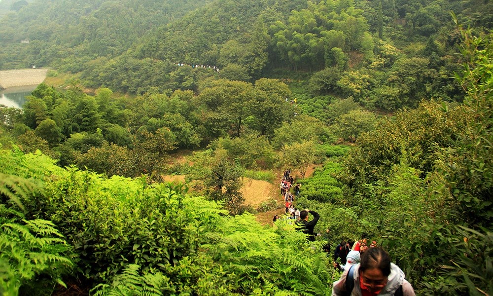 十大浙皖地区入门级徒步地，周末就能打卡，踏遍群山