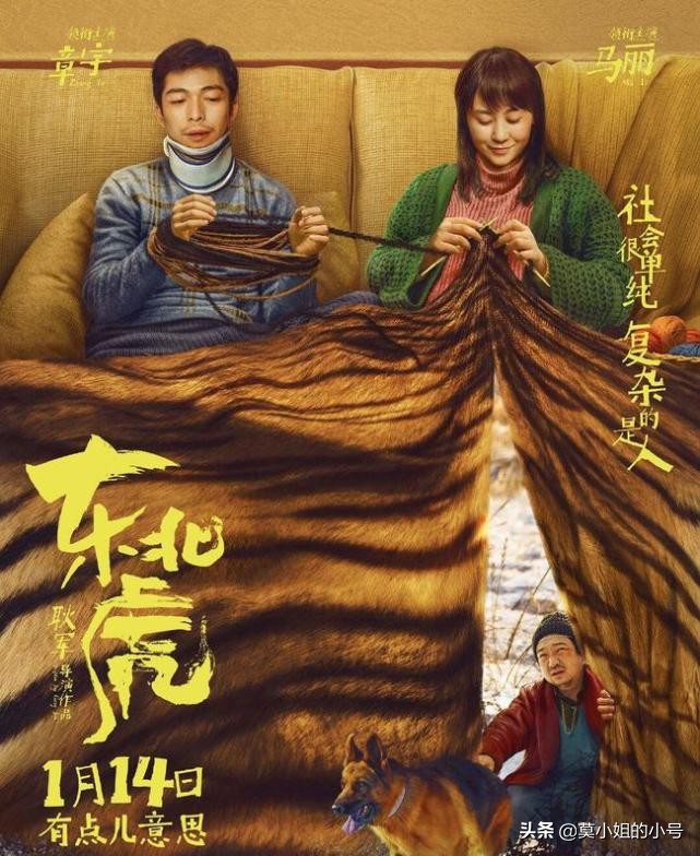 在1月上映的8部电影：一部评分仅4.8分，一部由吴京特别出演