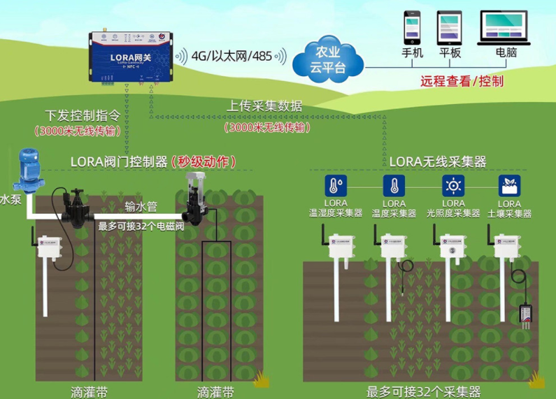 「智慧农业」农业科技在高标准农田中的应用