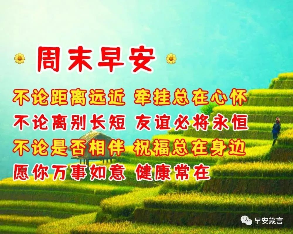 早上好祝福问候图大全，早安阳光语录祝福心语