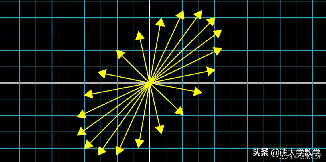 「线性代数」向量究竟是什么