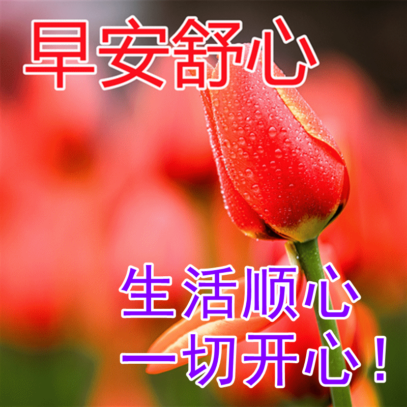 早上好祝福语录精选 早安表情包推荐 幸福手牵手，美好连成片图片
