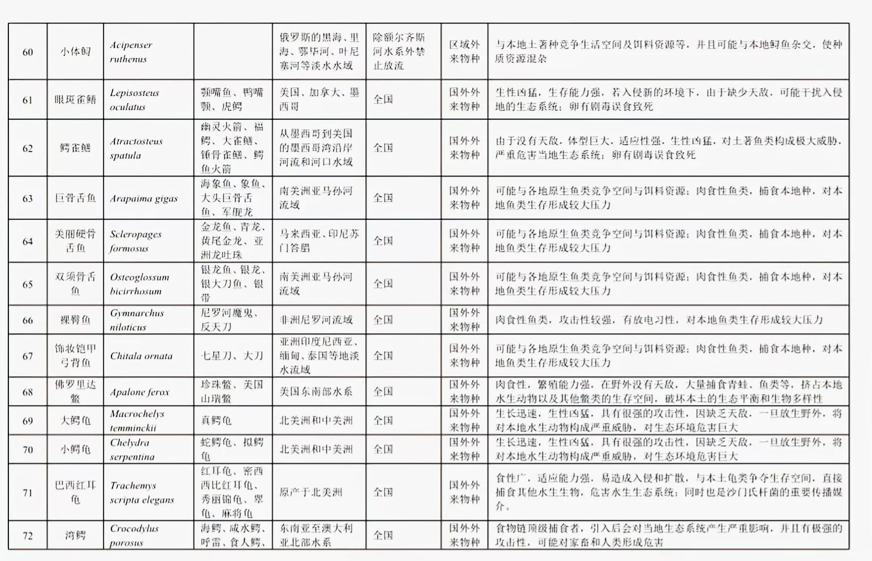 铁背鱼长什么样，95种禁放水生物图片介绍