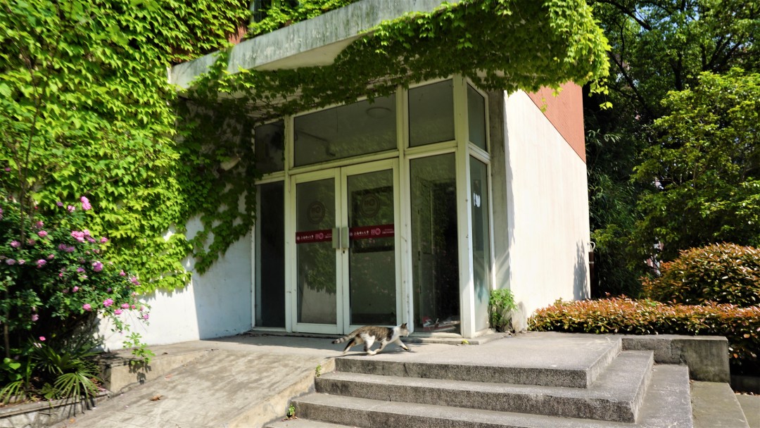 上海理工大学是魔都高校中的小确幸