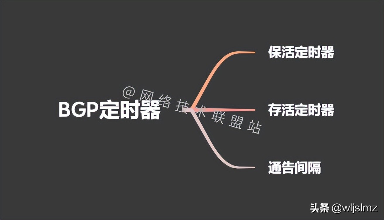 硬核干货：6000字 30张图，带你彻底搞懂BGP动态路由