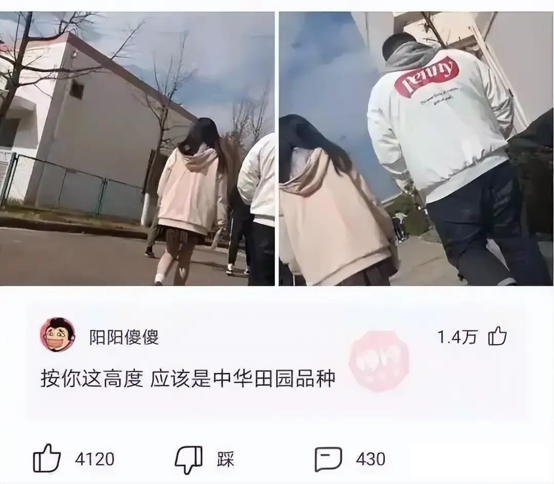 想帮你一把，都难啊，这下好了，直接挂科