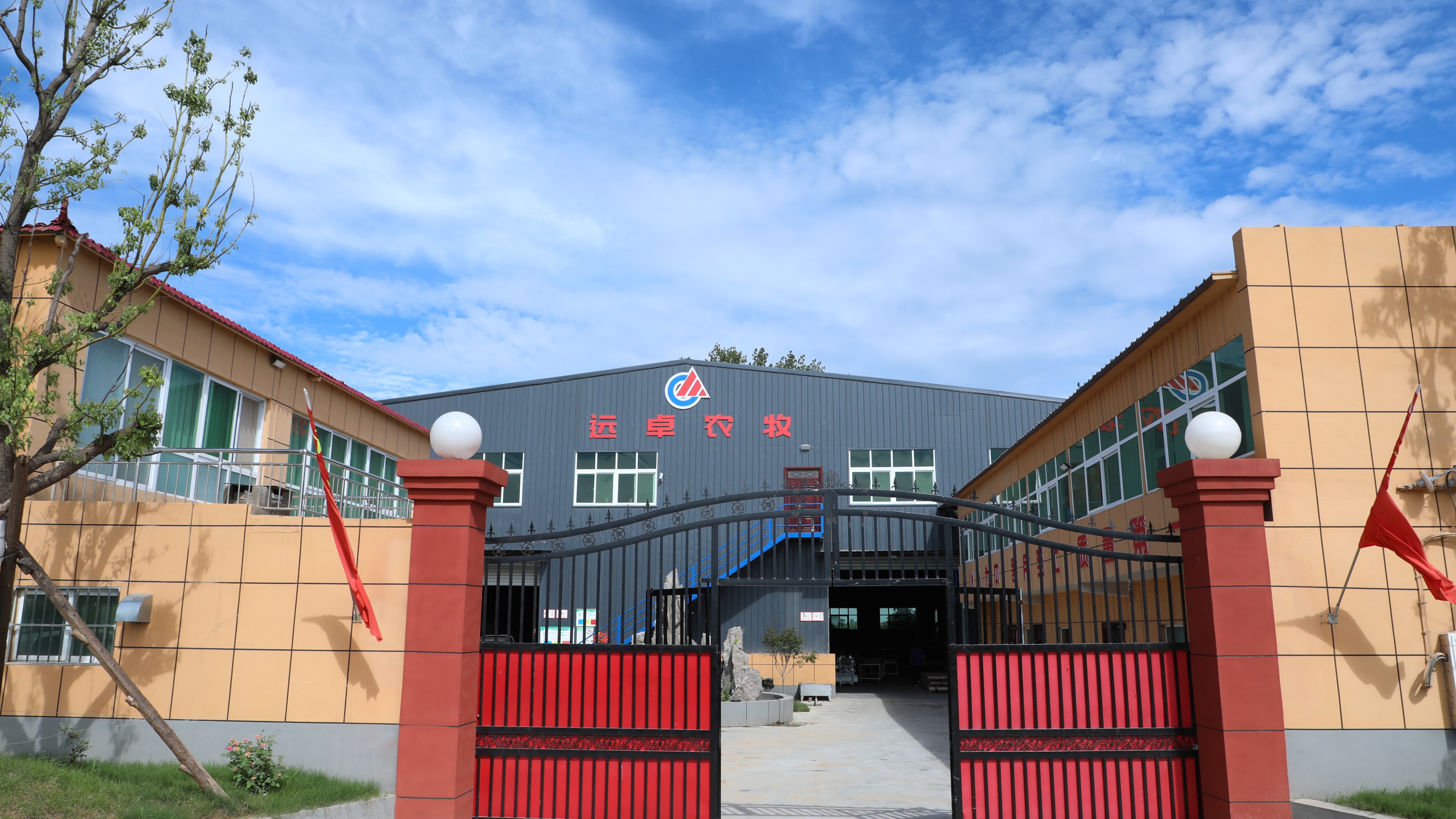 夜間該不該用濕簾？遠(yuǎn)卓農(nóng)牧蛋雞養(yǎng)殖自動(dòng)化設(shè)備簡(jiǎn)單說(shuō)兩句
