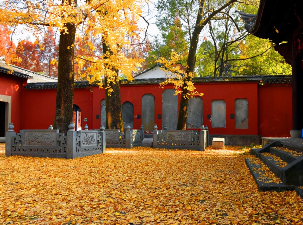浙江旅游：感受南孔圣地衢州有礼的城市魅力（图）
