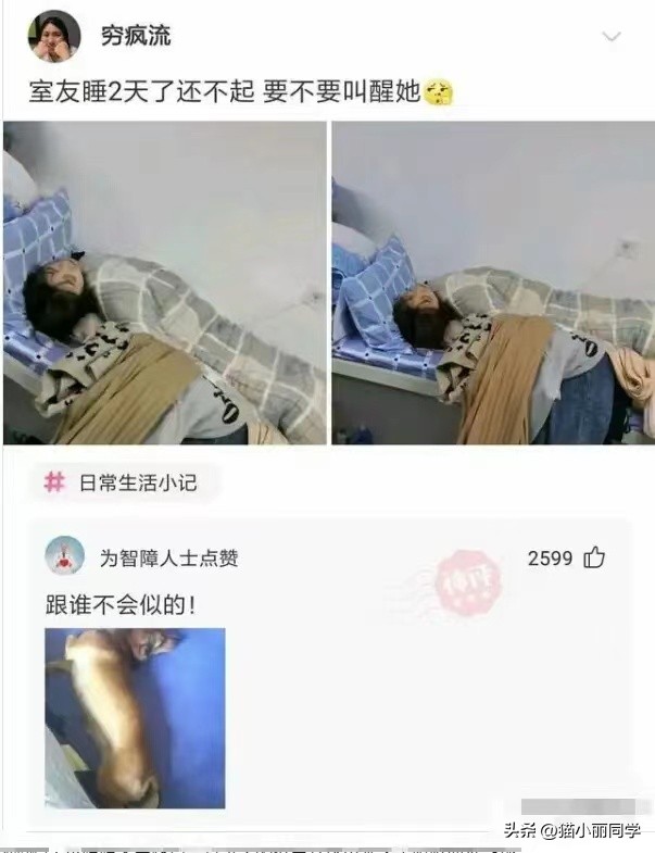 神回复：室友都睡了2天还不起床，我该不该叫她起床啊？神评亮了