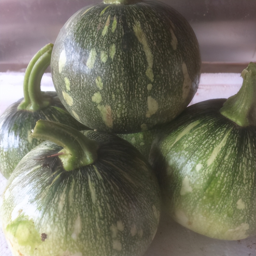 夏季天热，这3种蔬菜包饺子特香，隔三差五吃一次，鲜香美味滋补