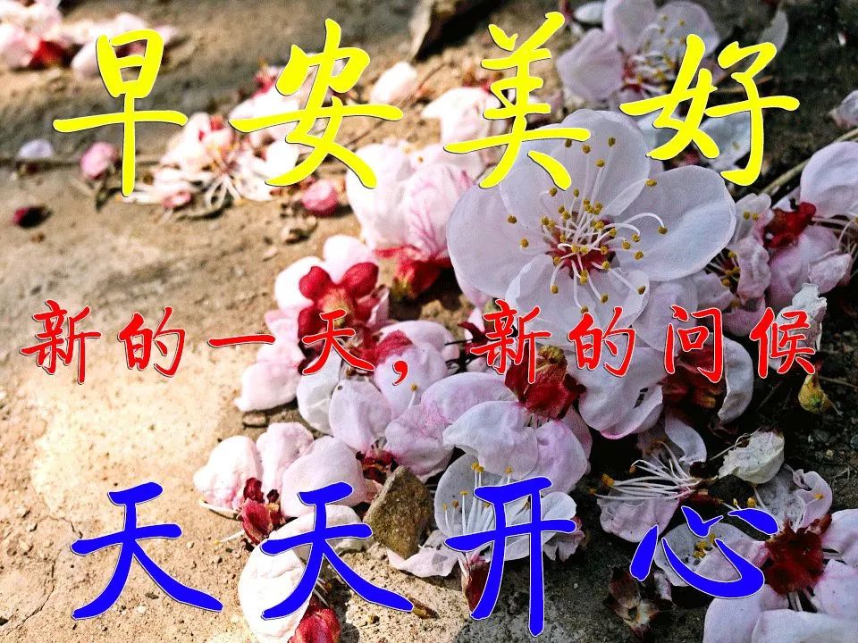 微信群发早上好表情包，清晨祝福，事事顺心、早安吉祥、开心健康图片