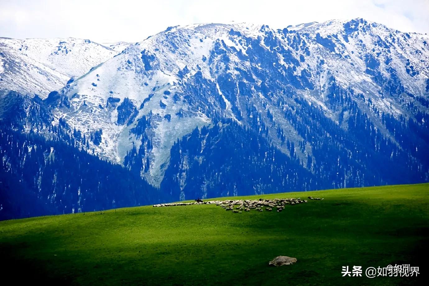 「大美新疆」雪光云影之巩乃斯草原