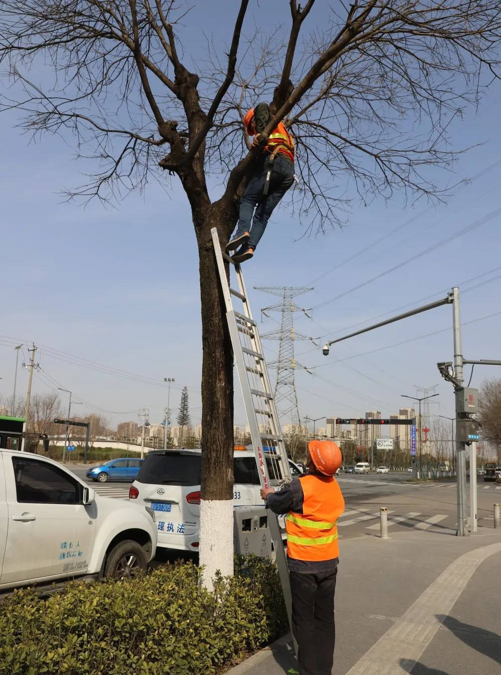 �ֱ��е�������޼����ⳡ԰����ѵ��ѡ����á��ᵽ��