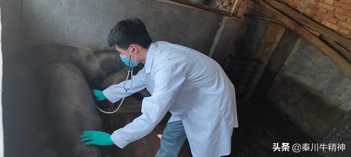 吃住全部免费，月收入7000+，这样的工作太让人羡慕了