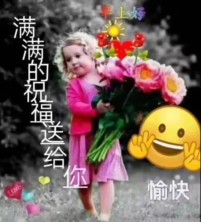 早上好，每日问候，天天没烦恼，人生有缘长相思，快乐在心间图片