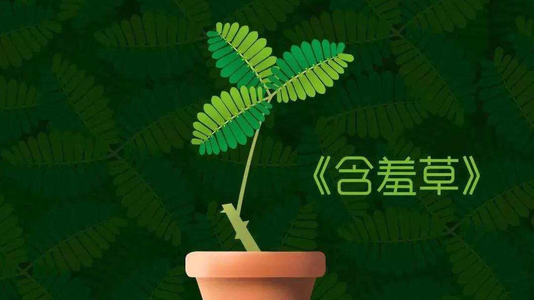 我的植物朋友桂花（三年级下册第一单元学生范文）