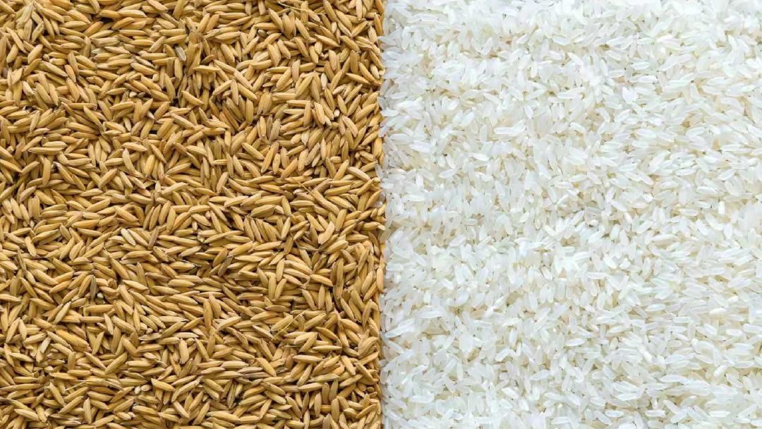 聖上壹品让稻米始于自然，归于自然