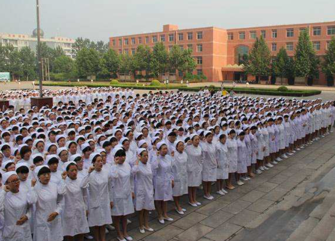 专科生求职连吃闭门羹，吐槽一堆证书不抵211学历，HR一语道破