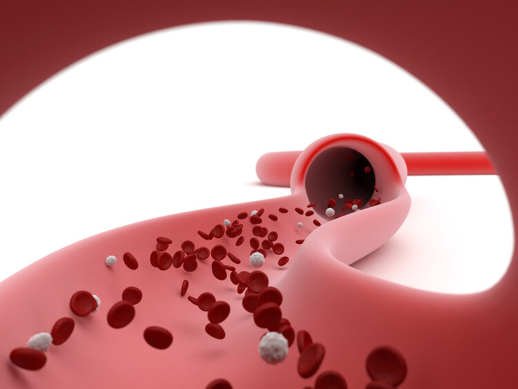 防三高，别吃肉？这项98万人研究，或发现心脑血管疾病的“真凶”