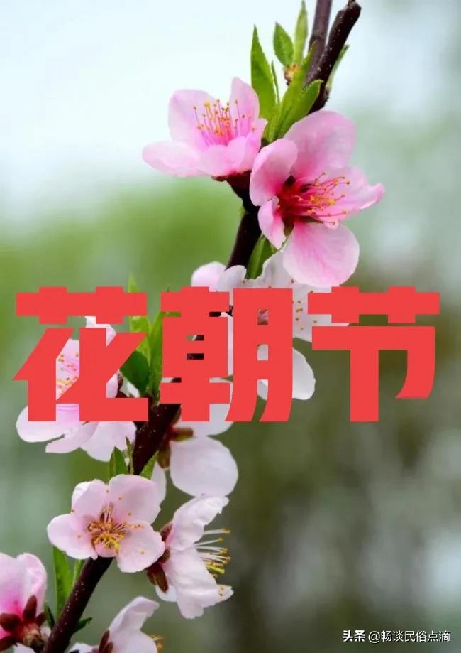 即花朝节,也叫花神节,此时,已到农历二月十二 百花齐放,万紫千红,因此