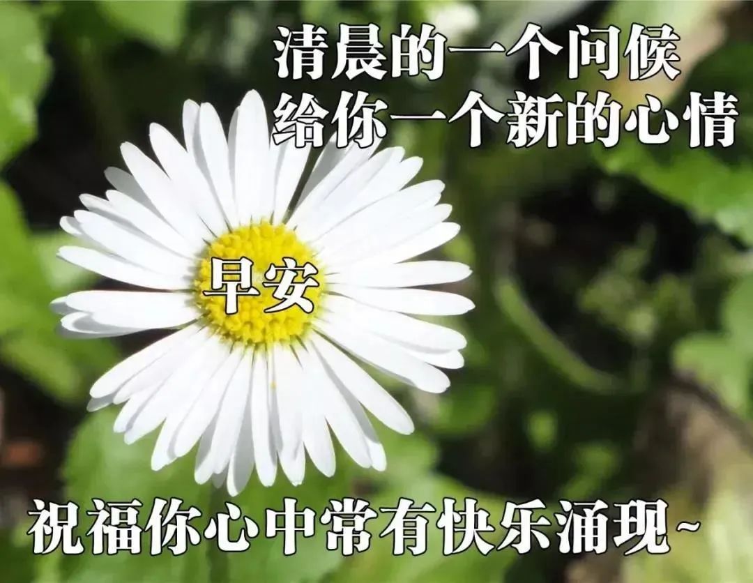 漂亮周日早上好祝福图片，早上好祝福语句，愿你每天好心情图片
