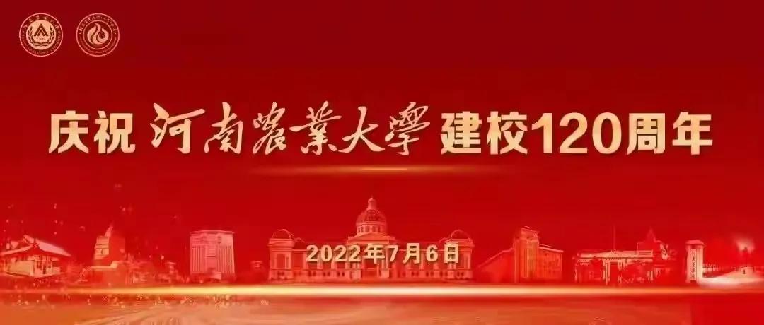 苏金乐：大树的记忆