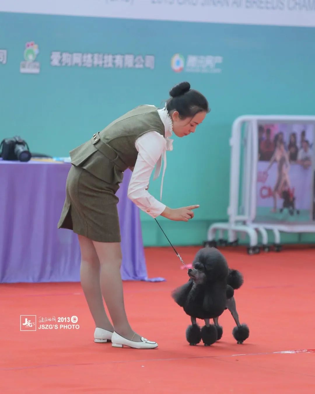 培养数万从业者，经典宠物美容陈佳炜：这是世界上最治愈的工作了