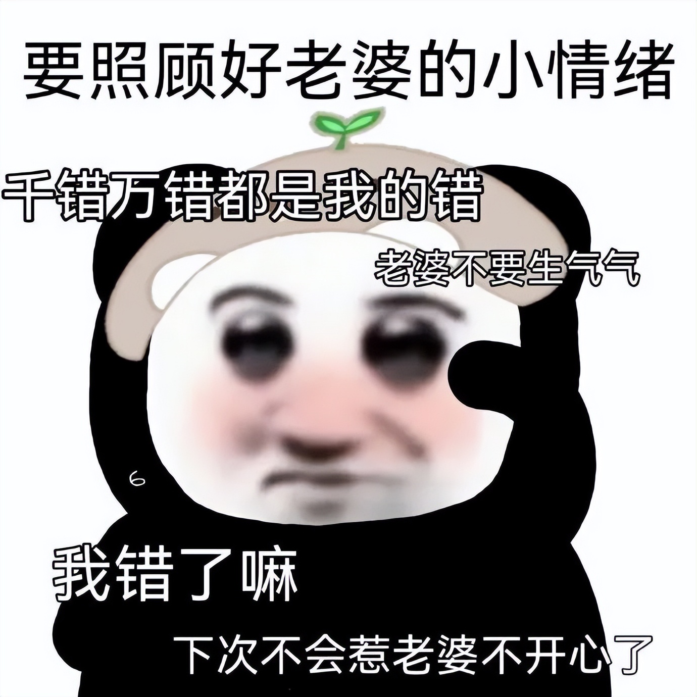 算是半个有趣的人