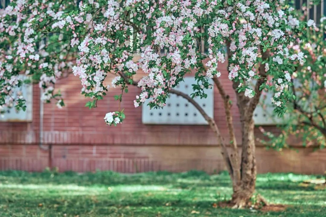 两会热门话题！获教育部审批！未来，青年拔尖科技人才将成为“香饽饽”！