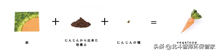 冲厕水酿啤酒？松针变收纳？这些环保创意让人耳目一新