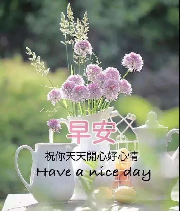 早上好朋友，早上好图片大全 早晨好表情包 祝你天天开心好心情图片
