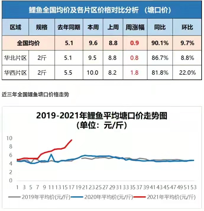 猪价“霸气破9”，鲤鱼大跌3.1元，玉米下跌预警袭来！警惕要变天