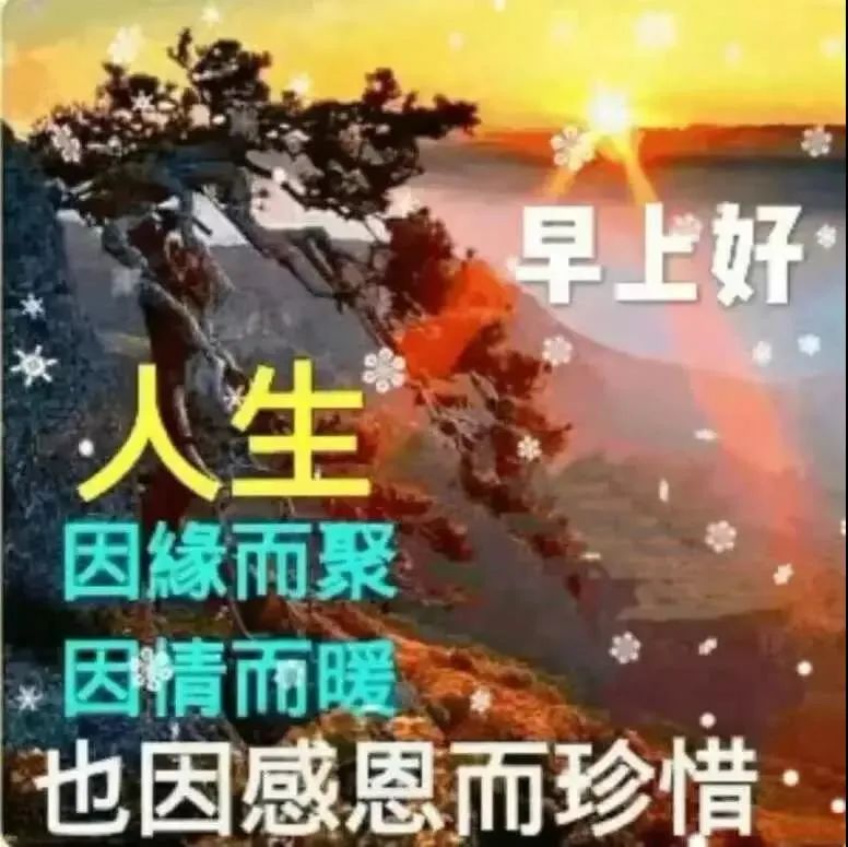 周末清晨祝福早上好的动态图片，阳光的早上好问候祝福语图片