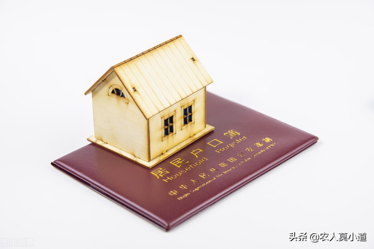 农业户口上大学时迁到学校，现在留在农村有什么意义？