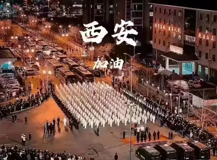 志愿服务我先行