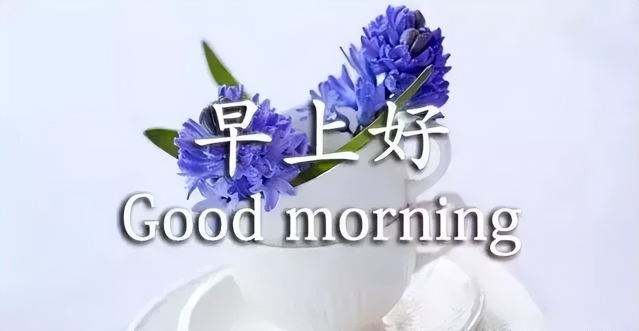 早上好问候祝福动态表情图片甜美周日早安心语动态图片表情图片