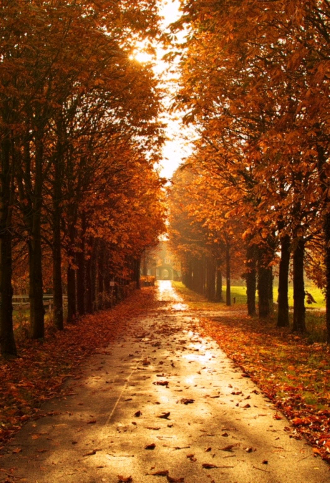 散文：人生就是一场悲欢离合