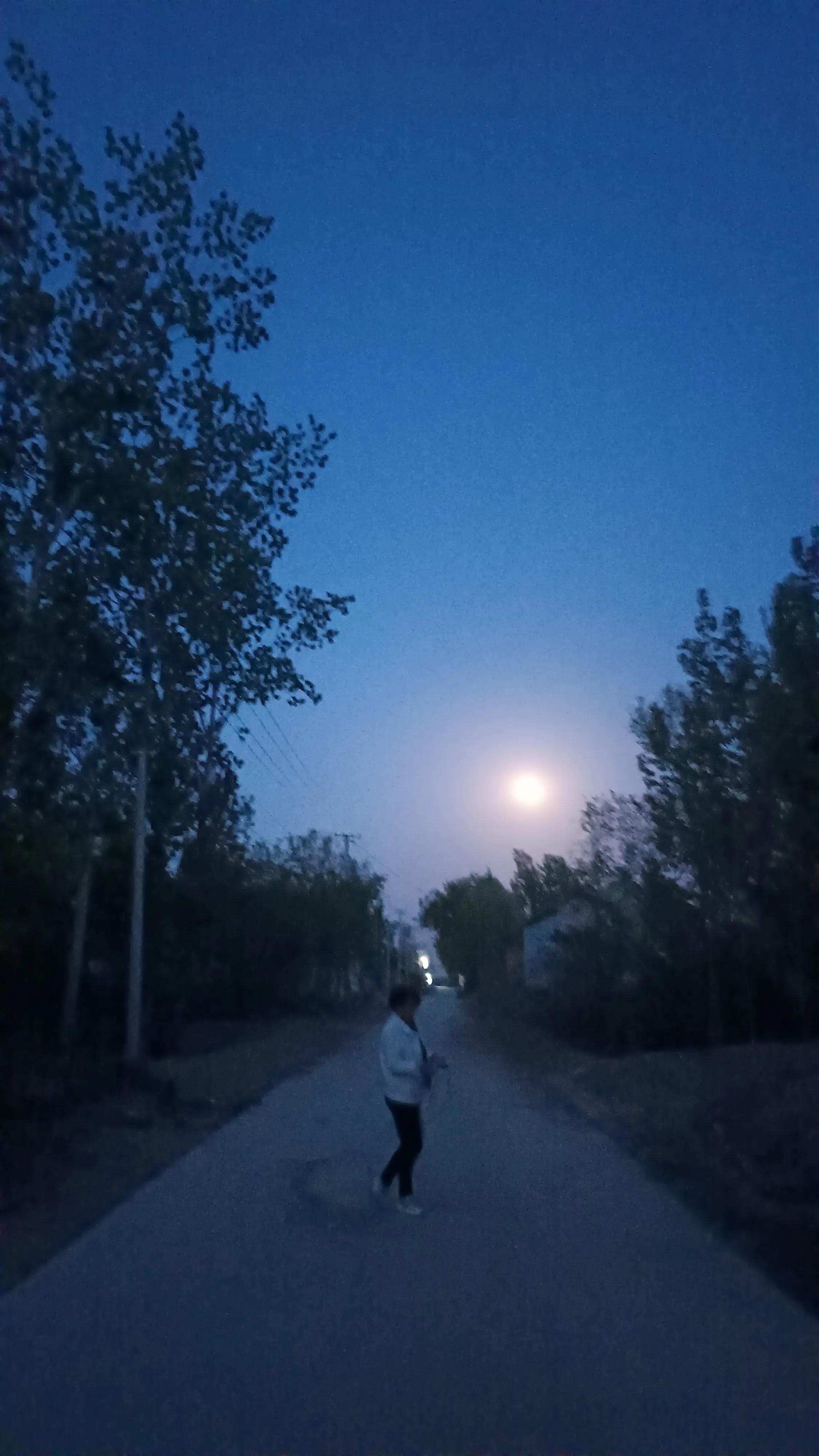 抒写乡下夜晚的优美句子