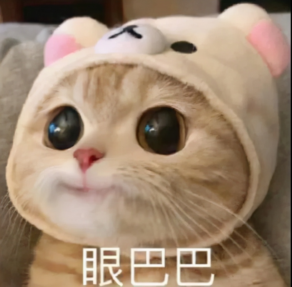 不能统招专升本？没关系，你还能这样...