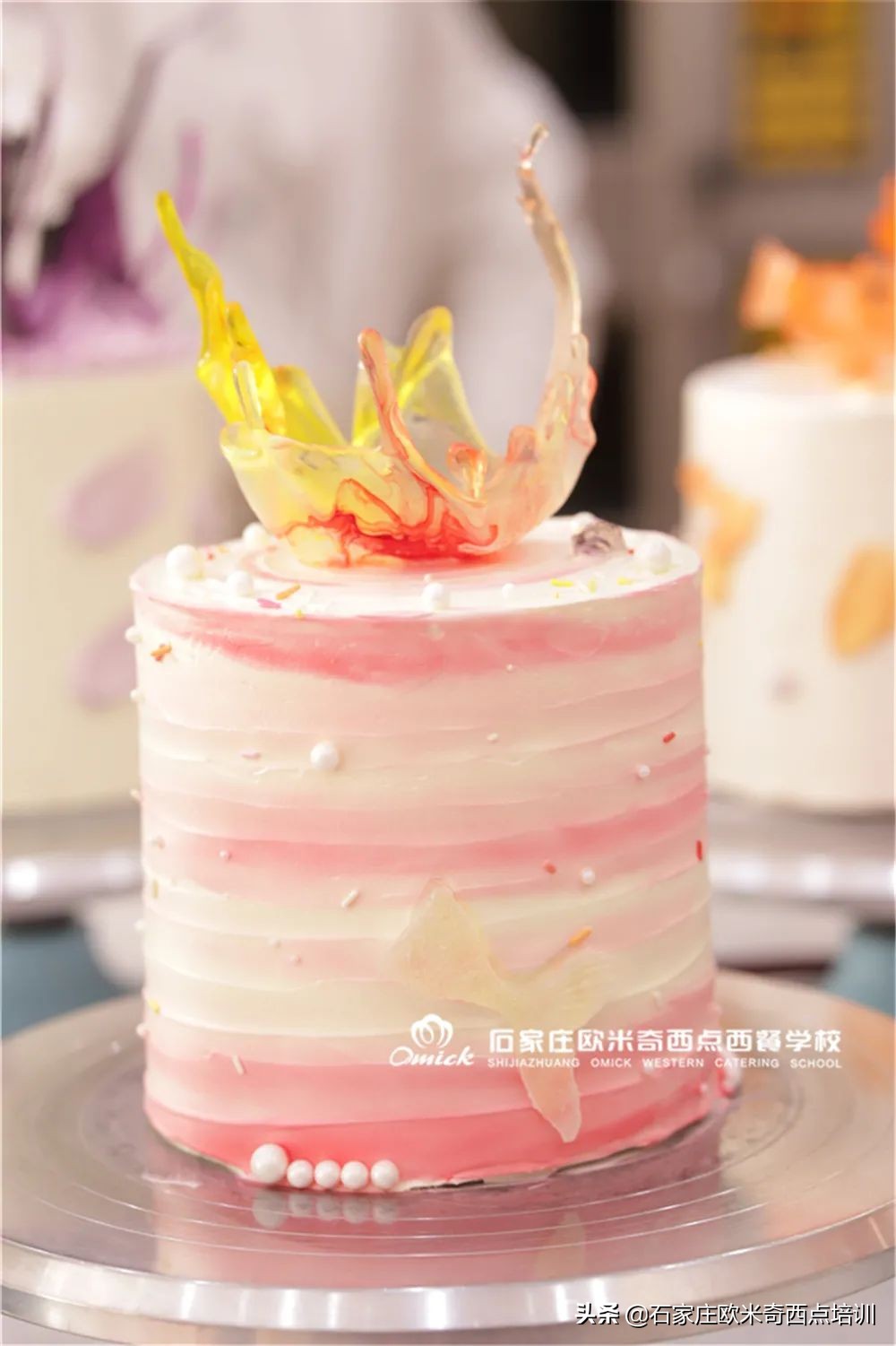 石家庄欧米奇 | 我把春天藏在同学们的作品里