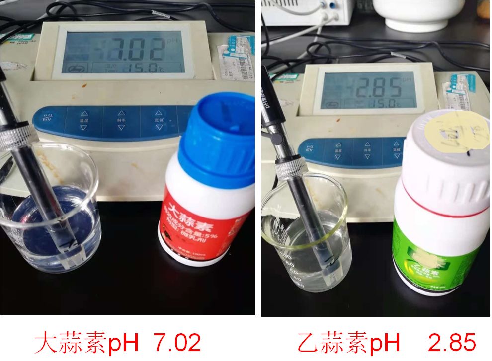 大蒜素与乙蒜素全面对比，谁才是杀菌王者？