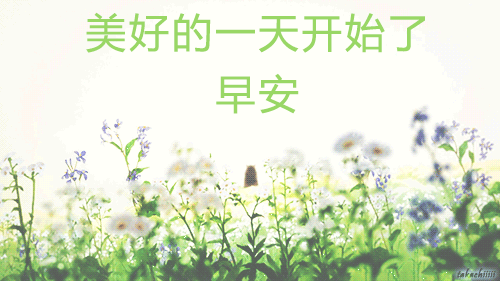 微信很漂亮的早上好祝福语动图 朋友圈最美早上好动态表情图片图片